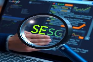 绍兴市场：SEO与内容创作如何完美融合？