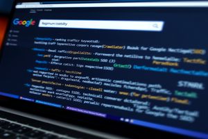 搜索引擎关键词输入：搜索引擎优化（SEO）